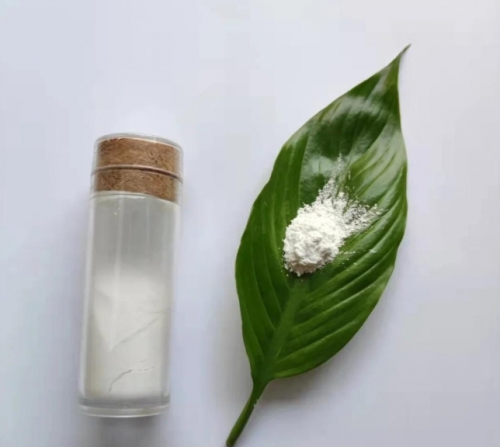 纳米氧化锆陶瓷原粉的晶相和比表面积如何影响陶瓷性能？