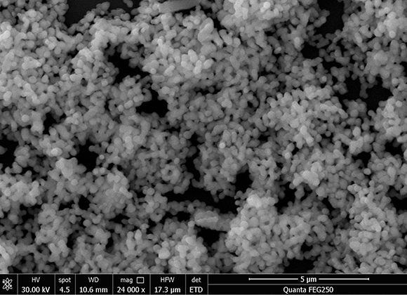 200 nm立方相8%钇稳定氧化锆（8%YSZ）