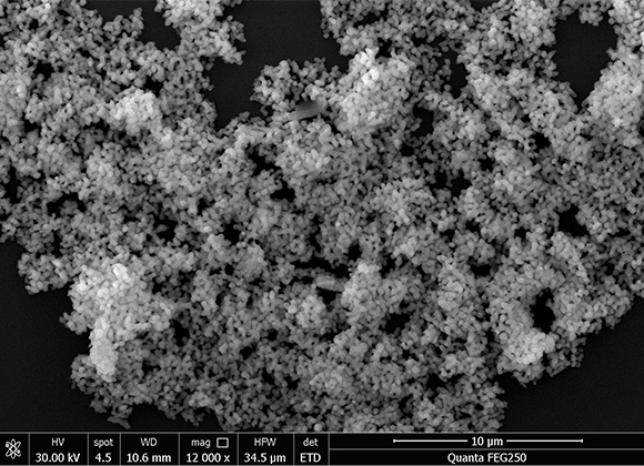 200nm cubic phase 5% yttrium stabilized zirconia (5% YSZ)