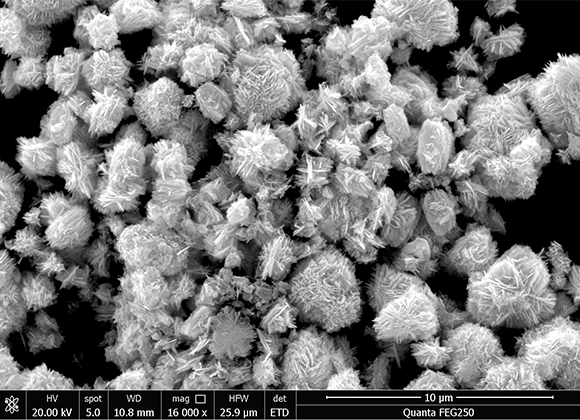 Zinc Oxide Nanosheets