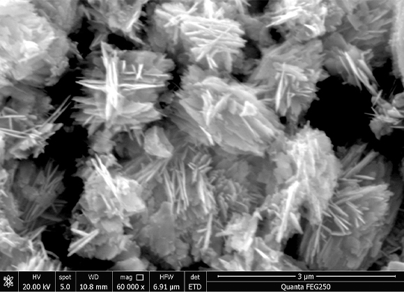 Zinc Oxide Nanosheets