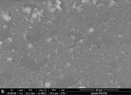 30 nm cubic phase 8% yttrium stabilized zirconia (8% YSZ)