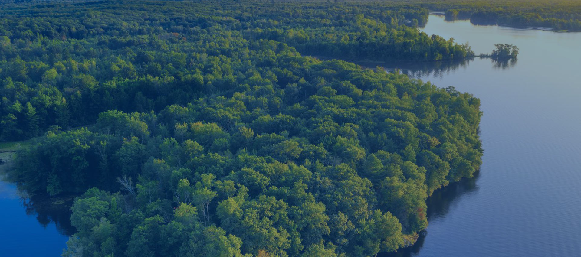 Environment Protection