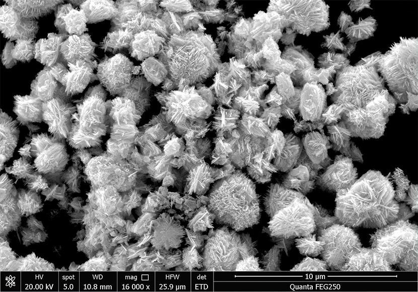 Zinc Oxide Nanosheets